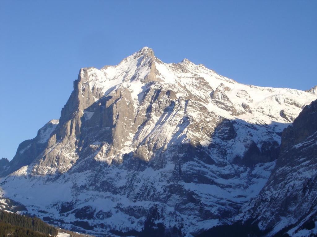 Chalet Spinne Grindelwald Ruang foto